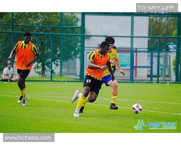 女性足球明星展现力量与魅力的大腿风采图片欣赏