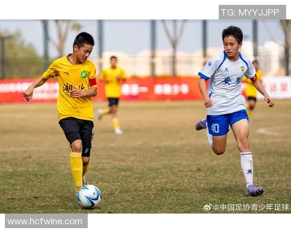 探索jt足球的魅力与发展潜力,助力青少年足球梦想的实现与成长